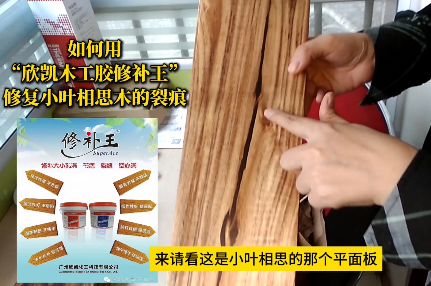 如何用“欣凱木工膠修補王”，修復小葉相思木的裂痕？